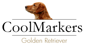 Cool Marker's Golden Retriever